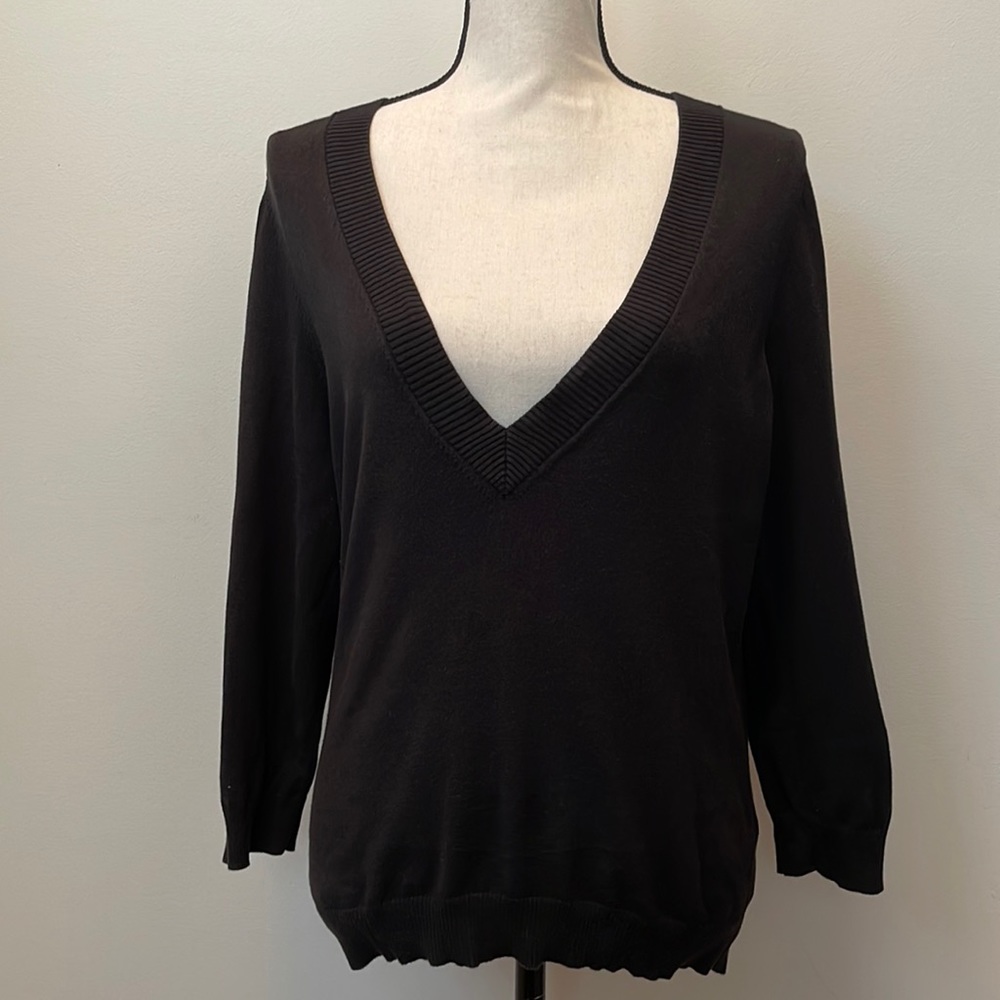 The Limited Long Sleeve V-Neck Sweater